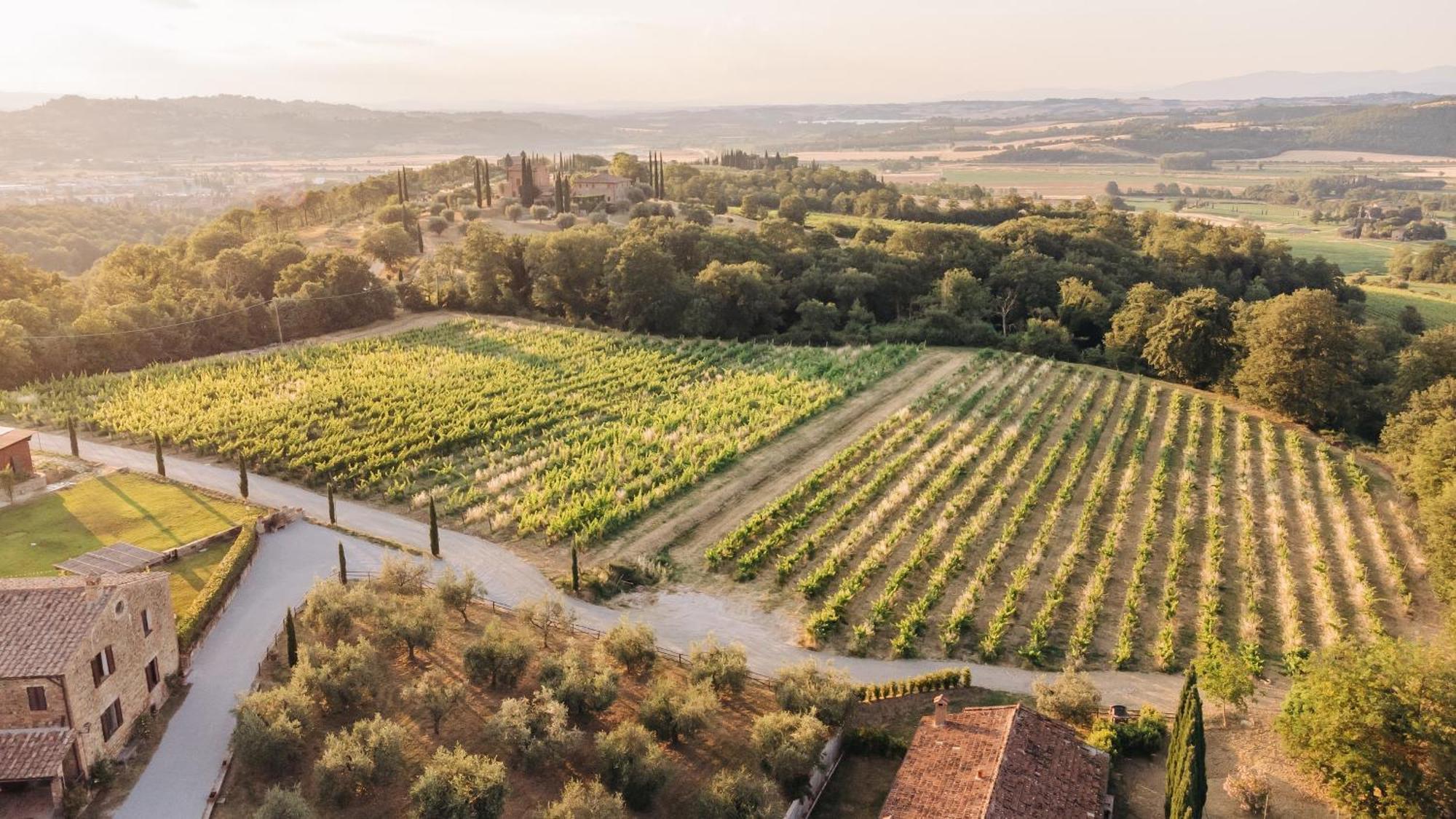 Borgo Siliano - Antico Podere Siliano Villa Città della Pieve Eksteriør bilde